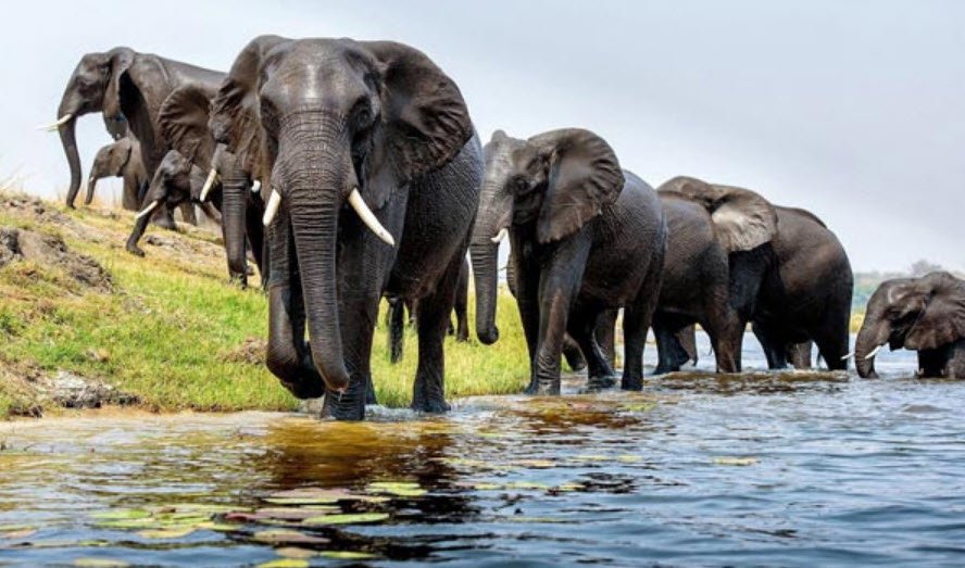 Wharf Island Wildlife Sanctuary, North and Middle Andaman, Andaman and Nicobar Islands - Vushii.com